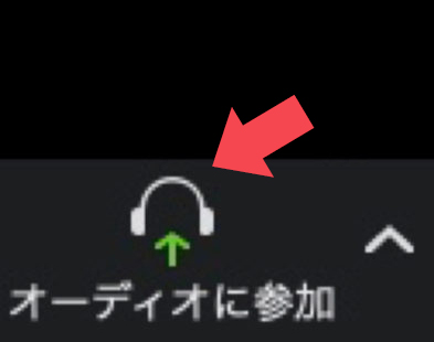 オーディオに参加